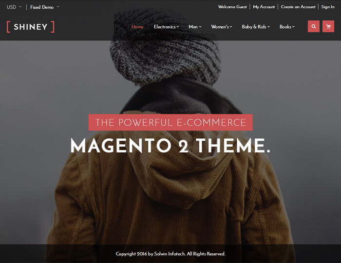 Shiney Layout 2