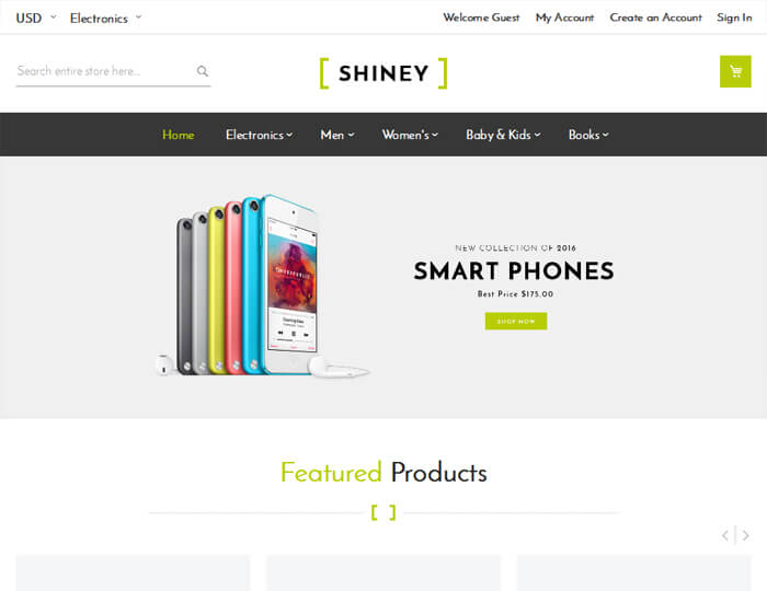 Shiney Layout 4